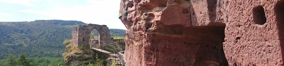 Esel-Trekking in der Pfalz 2021